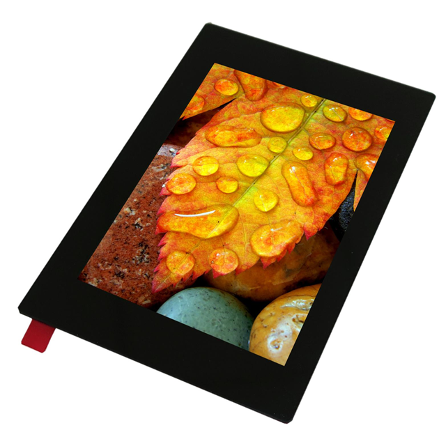 EA TFT035-34AITC Display Visions  Modules d'affichage - LCD OLED Graphic